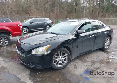2011 Nissan Maxima 3.5 Sv из США, поврежденный, VIN 1N4AA5AP2BC805189